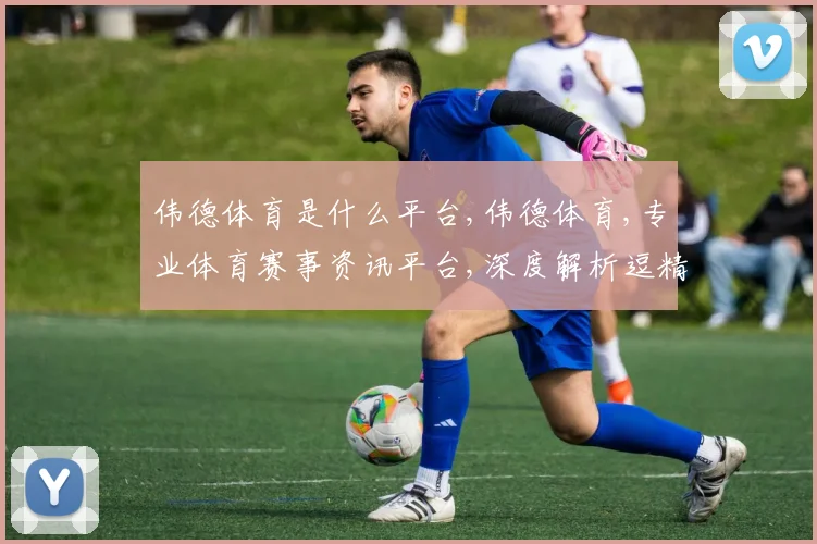伟德体育是什么平台,伟德体育,专业体育赛事资讯平台,深度解析逗精彩瞬间