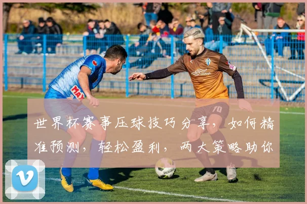 世界杯赛事压球技巧分享，如何精准预测，轻松盈利，两大策略助你一臂之力，必看