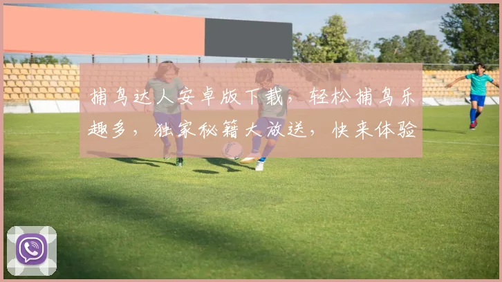 捕鸟达人安卓版下载，轻松捕鸟乐趣多，独家秘籍大放送，快来体验